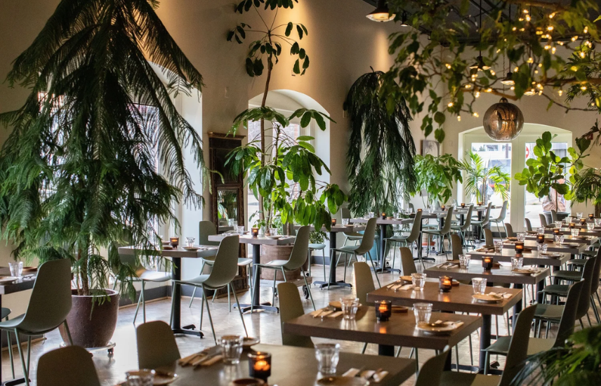 Alma Cocina Latina